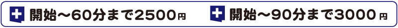 付き添い料金